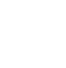 VerifyLabs Logo